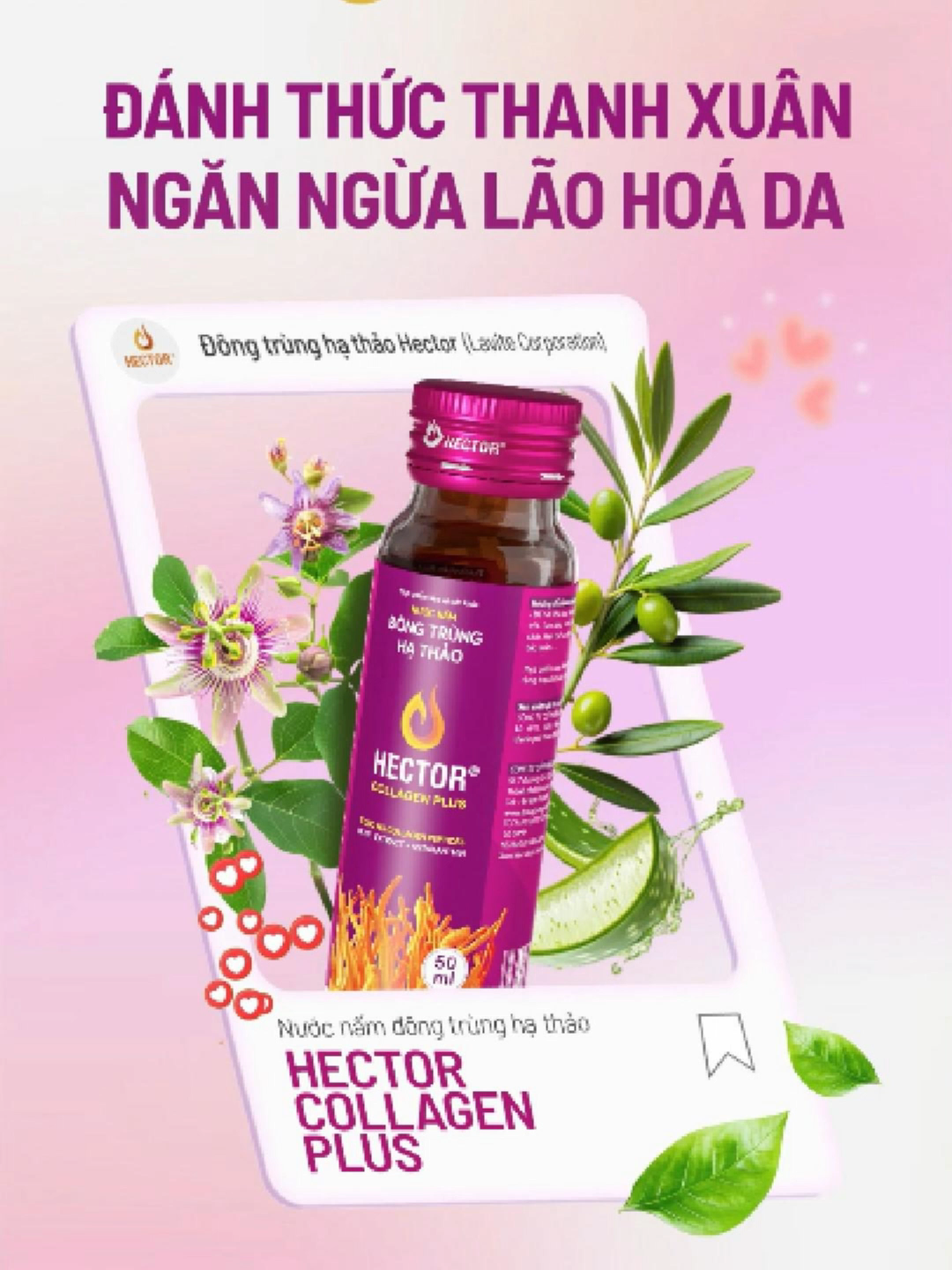 Hector Collagen Plus, giảm nám hiệu quả #HectorCollagenPlus #DongtrunghathaoHector #Xuhuong #Goclamdep #TriNam