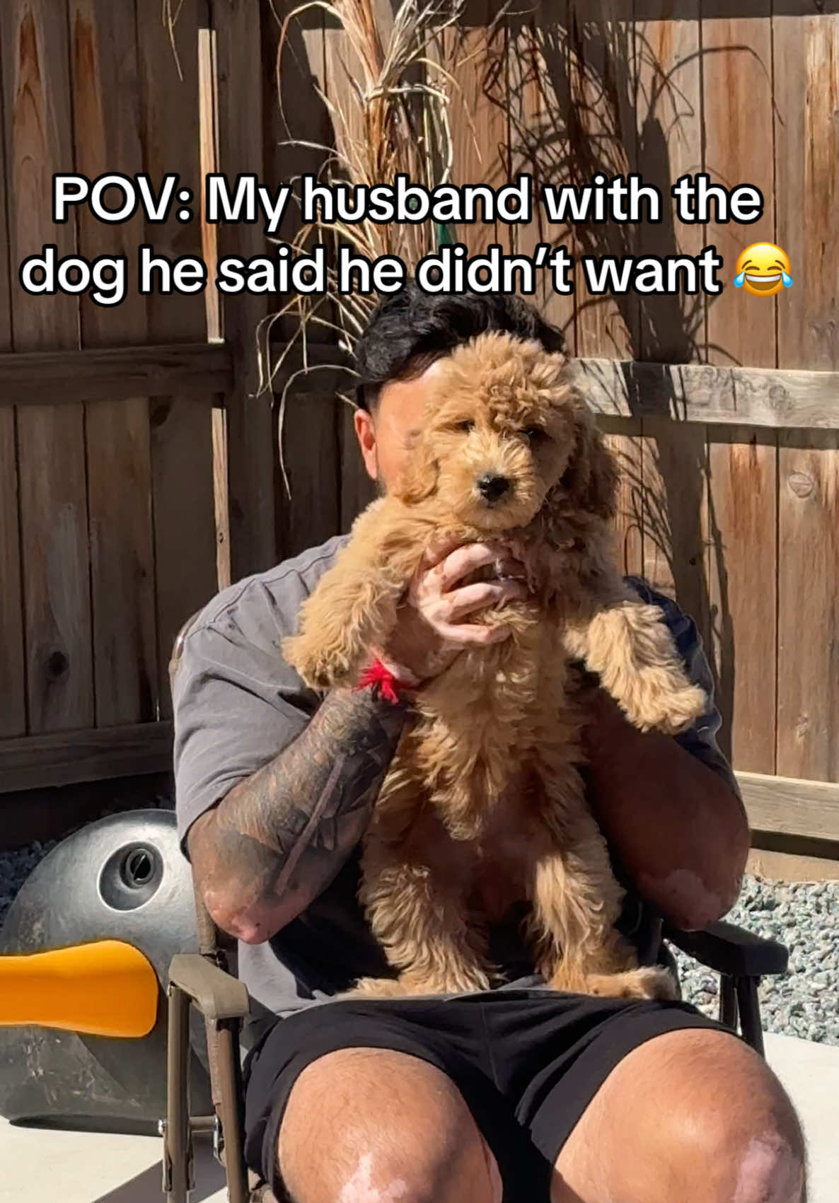It’s the little tail wag for me 🥺😭 “jaspy waspyyyyy” #dadswithdogstheydidntwant #thedoghedidntwant #goldendoodlesoftiktok @Jasper the Dood 