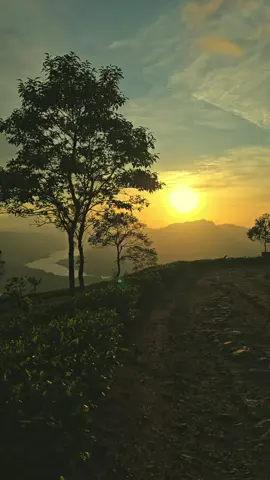 evening vibes 💛 . . #peace #sunset #nature #vibes #naturebeauty 