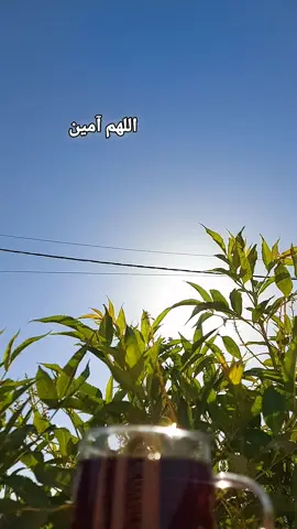 #اللهم_آمين 