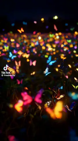 ✨️✨️✨️🦋✨️✨️✨️ NoChES ☆