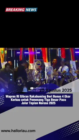 Festival Pacu Jalur 2025 resmi berakhir dengan kemeriahan luar biasa. Tepian Narosa menjadi saksi sejarah lahirnya juara-juara baru pada ajang budaya yang masuk ke dalam Karisma Event Nusantara (KEN). Gelaran tahun ini menobatkan jalur Bintang Emas Cahaya Intan Kuansing 2023 dari Desa Tanjung, Hulu Kuantan, sebagai pemenangnya. Prestasi yang tidak hanya menorehkan sejarah, tetapi juga menggetarkan hati ribuan pasang mata penonton. Adapun rincian keseluruhan hadiah yang diterima pemenang Festival Pacu Jalur Tradisional tahun 2025 dari juara I hingga XV.  1. Juara I mendapatkan total uang pembinaan sebesar Rp150 juta, ditambah piala bergilir, piala tetap dan tonggol juara serta ditambah 2 Kerbau (Jantan dan Betina) dan 1 ekor Sapi.  2. Juara II, 130 juta ditambah piala dan tonggol juara serta 1 ekor Kerbau betina dan Sapi 3. Juara III mendapat Rp115 juta ditambah piala dan tonggol juara serta 1 ekor Kerbau betina 4. Juara IV mendapat Rp95 juta ditambah tonggol juara.  5. Juara V Rp80 juta ditambah tonggol juara.  6. Juara VI peroleh Rp65 juta ditambah tonggol juara.  7. Juara VII Rp45 juta ditambah tonggol juara.  8. Juara VIII dapat 35 juta ditambah tonggol juara.  9. Juara IX Rp27,5 juta ditambah tonggol juara.  10. Juara X dapat Rp23,5 ditambah tonggol juara.  11 sd 15. Juara XI-XV, masing-masing berhak mendapatkan uang pembinaan Rp17,5 juta ditambah tonggol juara, mengutip dari cakaplah.com. Simak informasi lebih lengkap di video ya  #kuantansingingi #pacujalur #pacujalurkuantansingingi #riau #karismaeventnusantara #tredingreels #budayaindonesia #fyppppppppppppppppppppppp 
