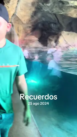 #Recuerdos 