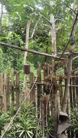 🤭
