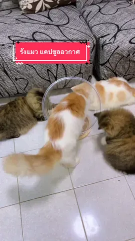 เล่นด้วยสิ