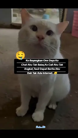 #fypシ #fypシ #fypシ  #Assalamualaikum 🥰