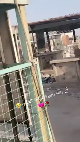 #مقبرة_وادي_السلام_النجف 
