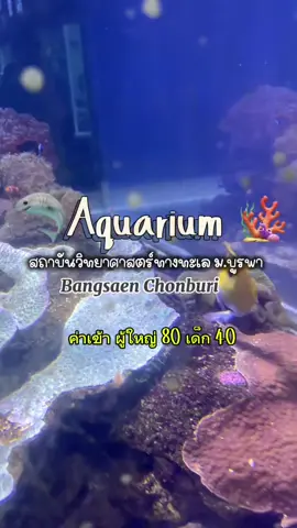 ฝากกดติดตามให้หน่อยยนะคะ พลีสสส 🥹🫶🏻🪸🦈#ชลบุรี #ที่เที่ยวชลบุรี #สถาบันวิทยาศาสตร์ทางทะเลบางแสน #บางแสน #พาลูกเที่ยว
