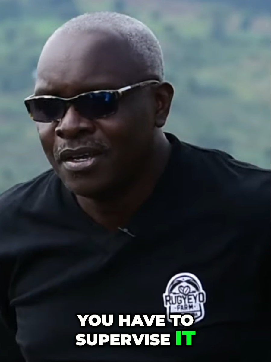 Supervise to Succeed. Inspect What Gets Done! @Incredible Stories wit Kasyate #coffeefarmer #wisdom #africanwisdom #robertkabushenga #supervisor 