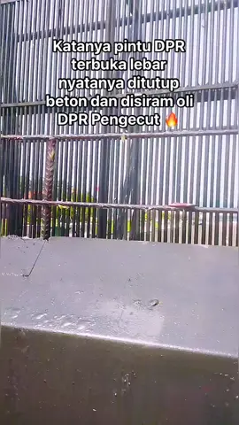 ga ada demo 