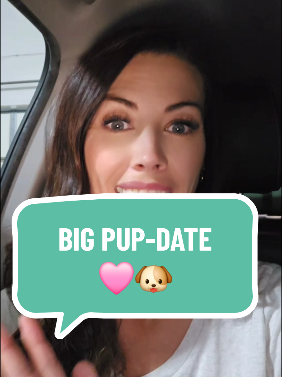 Filming in my car at midnight because this video could not wait until morning! #pupdate #suki #ashleyenglandspuppy #puppydrama #saltlakecity 