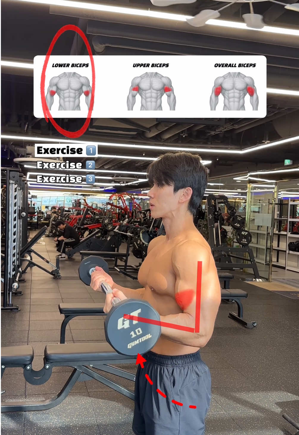 🔽777 바벨 컬(Arm Workou) 각도에 따른 자극 차이🔽 🔸777 Barbell Curl – Maximum Biceps Pump🔥 1. 하위 구간 (Bottom Half Range)-7reps - 동작의 아래 절반, 즉 팔꿈치가 완전히 펴진 상태에서 90도까지만 끌어올리는 구간이며, 이두근 하단부(Lower Biceps)에 자극을 줍니다. 2. 상위 구간 (Top Half Range)-7reps - 팔꿈치를 90도에서 시작해 완전히 수축된 위치까지 수행하는 구간이며, 이두근 상단부(Upper Biceps)에 자극을 줍니다. 3. 풀레인지 (Full Range of Motion)-7reps - 완전히 내렸다가 끝까지 끌어올리는 전체 동작으로, 상단부와 하단부 모두 협력해 이두근 전체(Biceps Overall) 를 골고루 자극합니다. #바벨컬 #이두운동 #팔운동 #헬린이 #운동루틴 #오운완 #Fitness #barbellcurl #bicepsworkout #armday #armworkout #gymtips 
