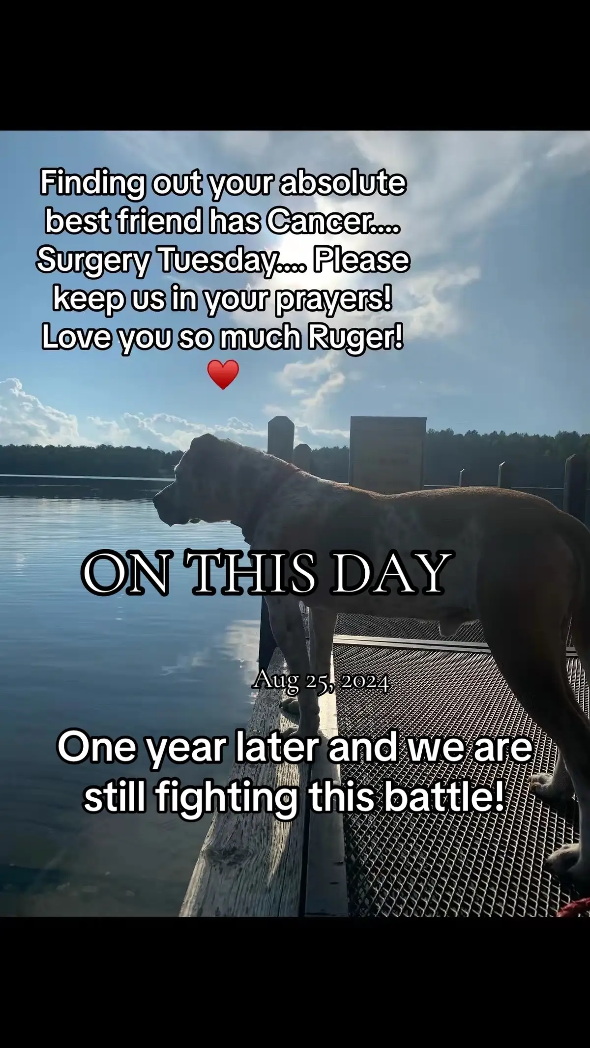 #onthisday #cancersucks #skincancer #dogcancer #fyp 