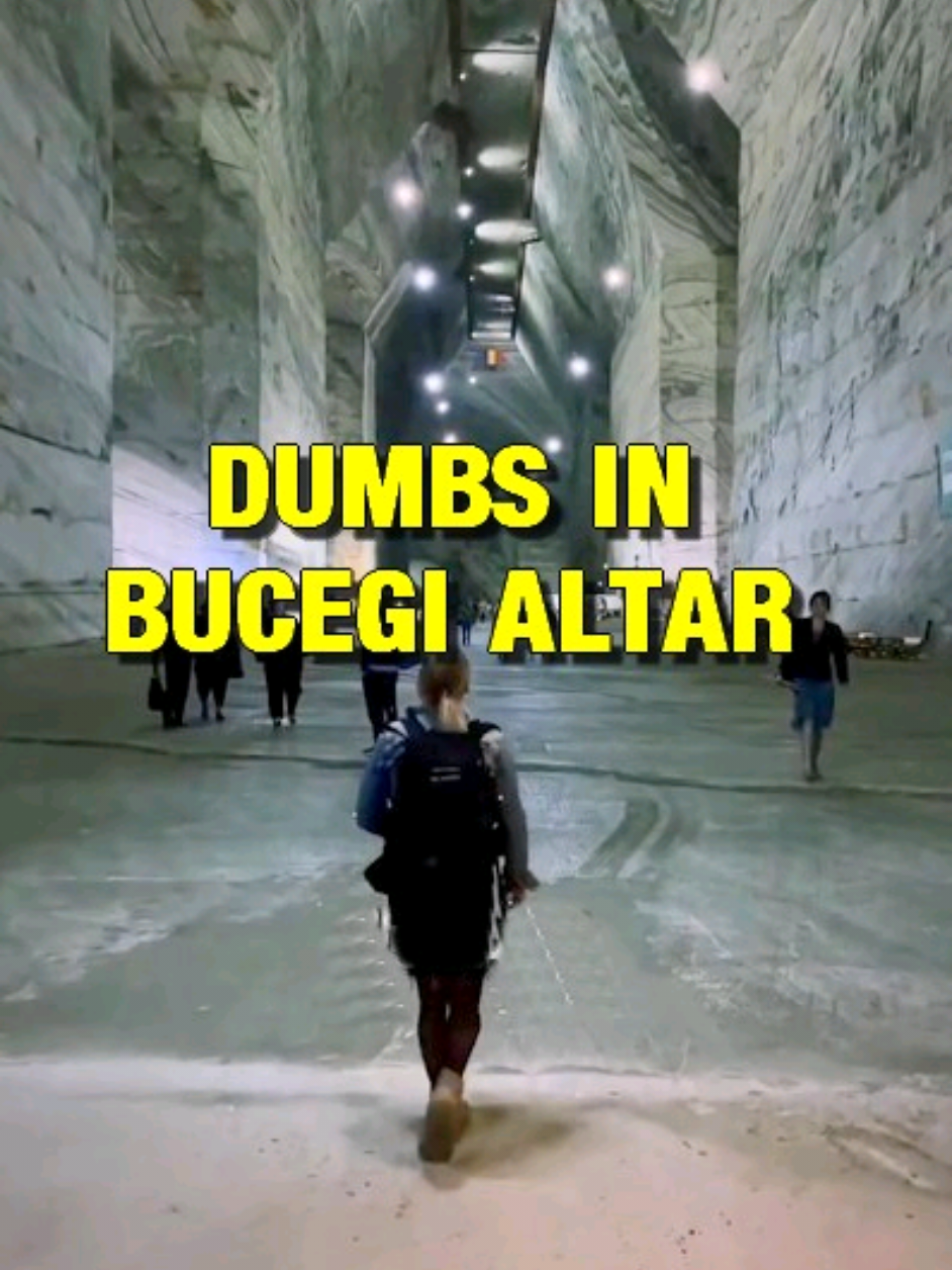 In den Anunnaki DUMBS von Bucegi Altar #dumbs #untergrund #rumänien #bucegialtar #babele #anunnaki Hier gehts zu den Büchern: https://www.amazon.de/stores/author/B089WH1HDC/allbooks 