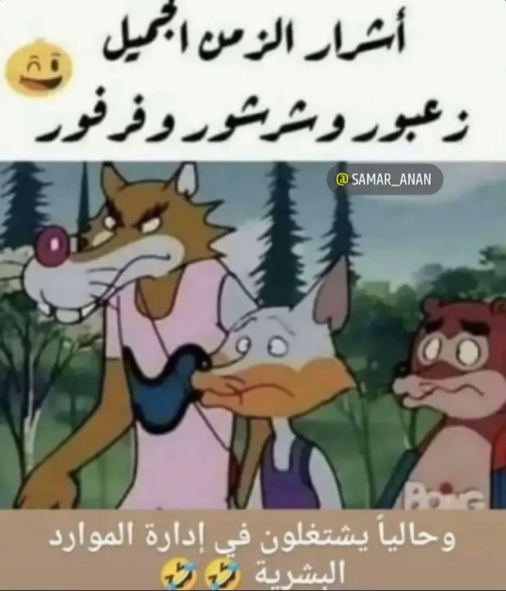 🤣🤣🤣