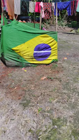 this is Brasil🤣 #creatorsearchinsights  #ব্রাজিল 