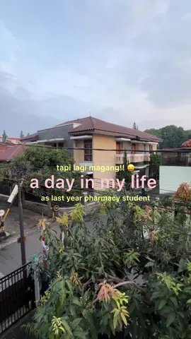 kegiatanku selama 2 bulan terakhir 😼😼🤝🏻 #adayinmylife as an intern hihiy 
