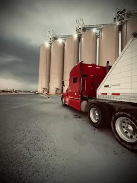 #trokerosperrones #anitalatrokera💓 #trokeradecalifornia🙋🏻‍♀️ #peterbilt #trokerade💜 