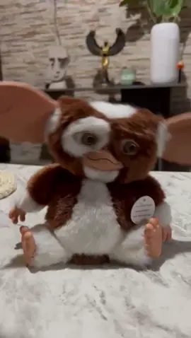 #gizmo #80s #movie #gremlins #gremlins2 #fyp #viralvideo #foryou #fypシ゚ #peliculas #recuerdos #neca @NECAofficial #toys #collection #coleccion #nostalgia #1984 