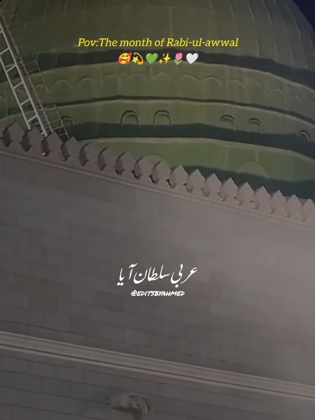 🌷🤍💫✨ عربی سلطان آیا #rabiulawal2025 #milad #islamic_video #madina #editsbyahmed 
