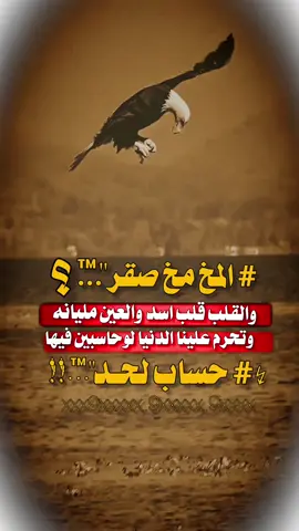 صباح الخير 🥱#استوريات #عبارات_جميلة_وقويه😉🖤 #مجرد________ذووووووق🎶 #fypシ゚viral🖤tiktok☆♡🦋myvideo #اكسبلورexplore 