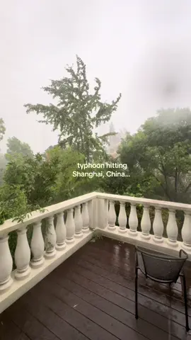 the birds chirping afterwards 😅 #china #lifeinchina #typhoon #travelchina 