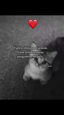 Gowja zadym🥹🐈şoda wepaly senden maña#rekomendasi #fypdong #kesfetbenionecikartikttok #rekomendasiskincare #creatorinsights 
