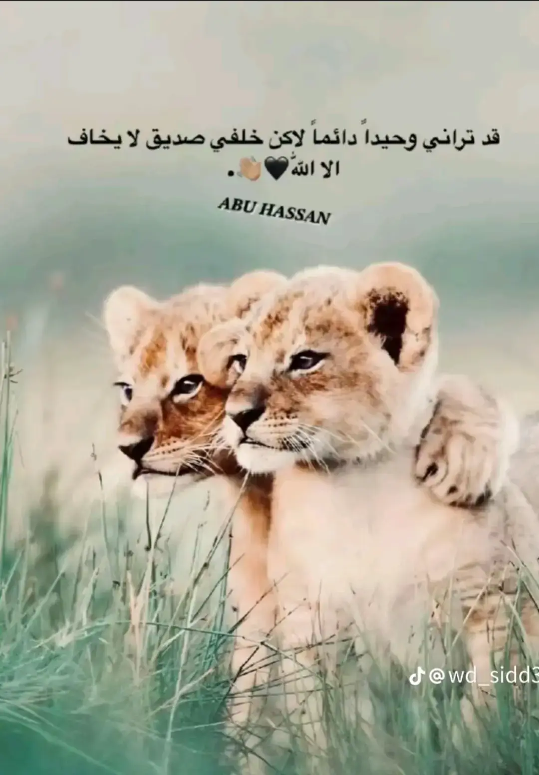 #قوات_الشعب_المسلحة_السودانية🇸🇩🔥🔥🤝💜 