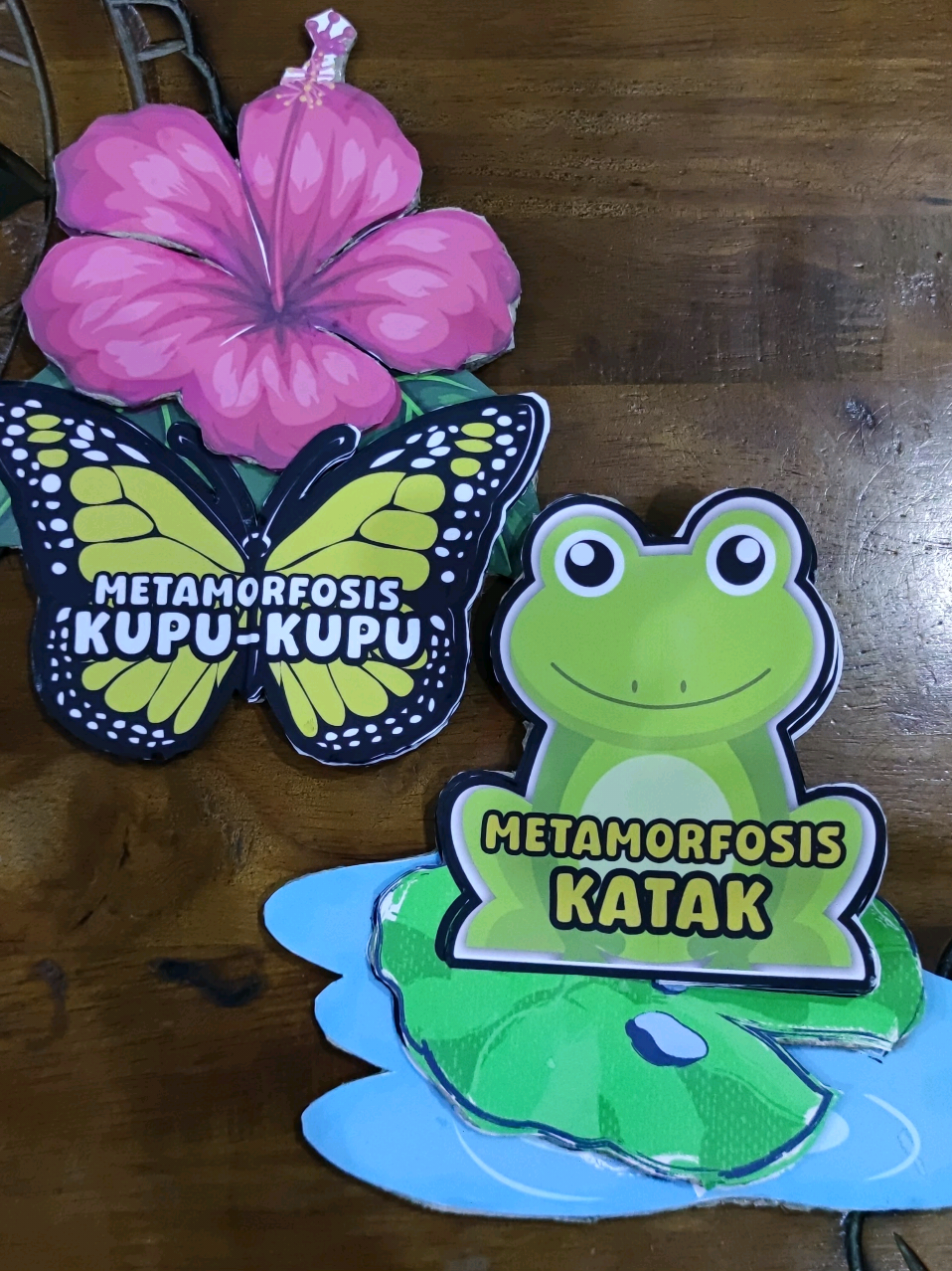 FLIPBOOK METAMORFOSISI KATAK DAN KUPU-KUPU  #guru  #gurusd  #kreatif  #gurumuda  #fyppppppppppppppppppppppp 
