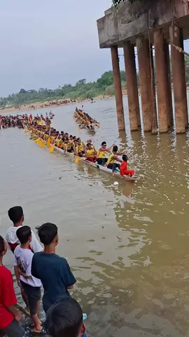 jalur sang juara di tepian narosa