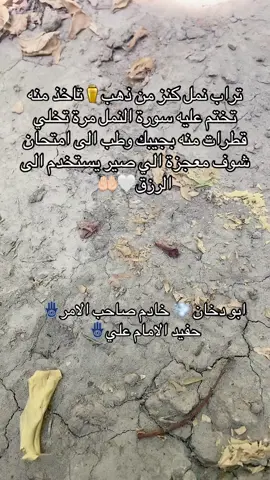 معجزة هذا تراب😱#اكسبلور_تيك_توك #اكسبلور #اكسبلورexplore #العراق_السعوديه_الاردن_الخليج #تيم_الرافدين 