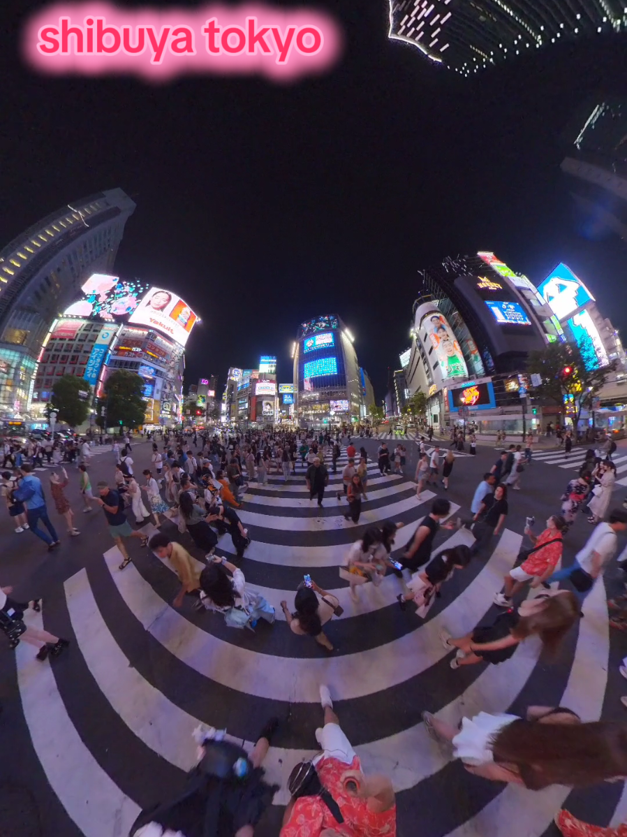 shibuya la calle mas famosa de tokyo #shibuya #tokyo #japan #vacation #travel 