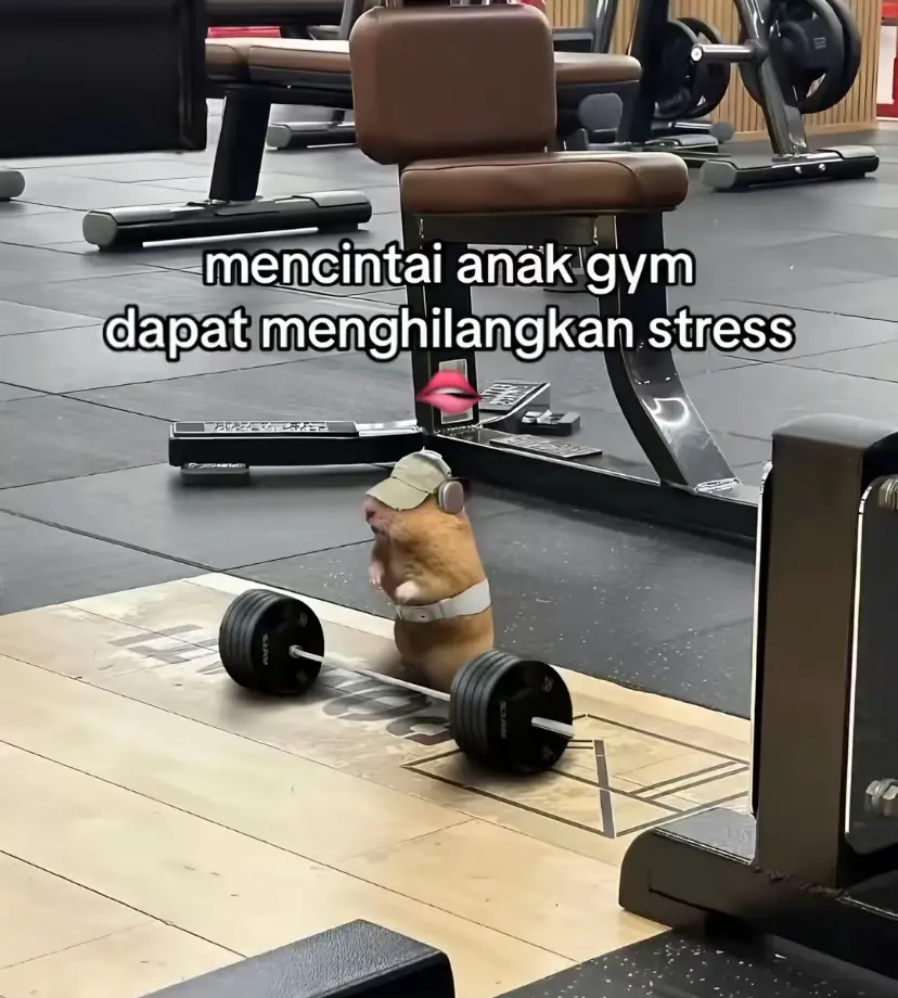 nambah stres kak 🙏🏻