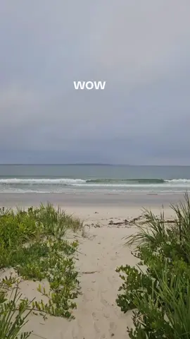 #foryou #nature #australia 