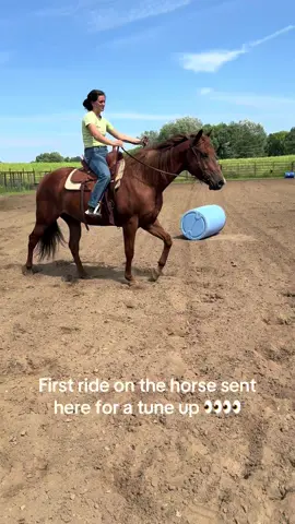 We have VERY LIMITED training spots open. Please feel free to dm for inquiries. #leadingthepack #leadingtperformancehorses #horsetrainers #quarterhorses #barrelhorses 