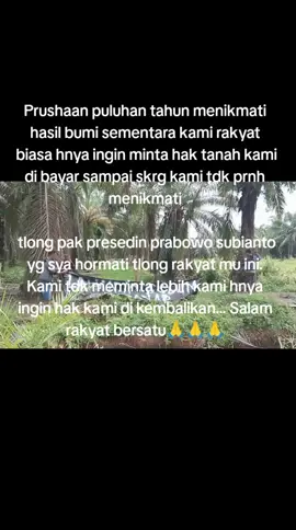 Kami sudah lelah di permainkan pihak prushaan sdh cukup kami di bodohi prushaan.   Tolong dukung kami rakyat bersuara demi keadilan