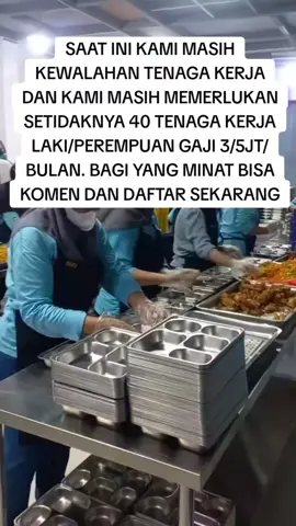 Meski suara bentulan begitu nyaring di telinga tapi kami tatap semangat untuk bekerja  Suara ini lebih indah kami dengar di bandi kita berteriak dan ngeluh kalau kita engga punya uang hehe    Yo siapa yang ingin bekerja dan pendapatan lapangan kerja dari pak Prabowo/Gibran selaku presiden dan wakil presiden kita silahkan komen dan daftar  #sppg  #makanbergizigratis  #muchtarsupiandi  #MBG  #BGN  #zmgrup  #makangratis  #indonesiatidakkelaparan  #indonesiamaju  Daftar gratis pulang dapat gaji 👍