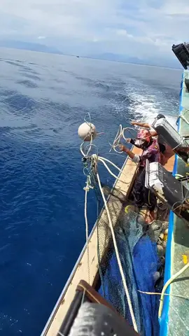 pagi yang tenang saat nya tebar jaring#jaringtarik #ikantongkol #proses #labuhpukat #jaringikan #jaring 