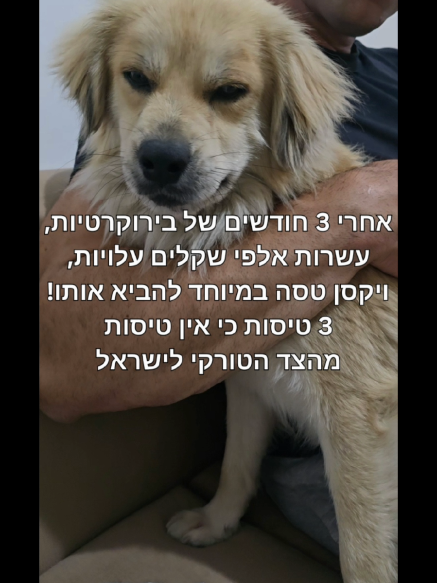 מי שהיה בלייבים האלה שיגיב!!!
