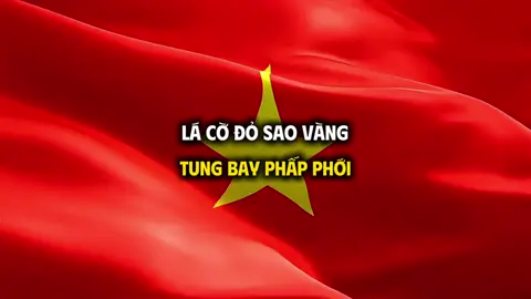 Video cờ nước CHXHCN Việt Nam tung bay. Video cờ đỏ sao vàng bay phấp phới. Lá cờ Việt Nam để mọi người làm video mừng quốc khánh 2/9 #baongocmedia #codosaovang #toquocvietnam #quockhanh 