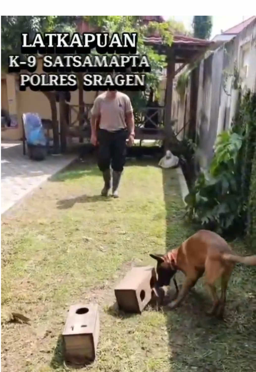 Pelatihan Dasar Pelacakan dan Penciuman Anjing Unit K-9 Satsamapta Polres Sragen.