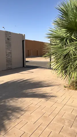 #بريده #القصيم #fyp 