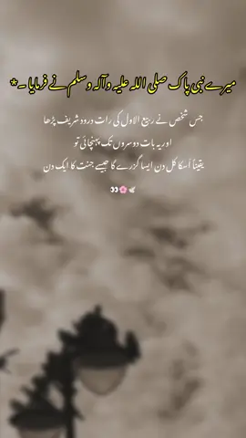 Subhanallah👀🌸🕊️ Repost request  plzzzzzzzzzzzzzzzzzzzzzzzz#viewsproblem #foryouu #trendingvedio #viralvedioes #foryoupage 