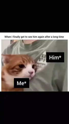 Only us 😊🤗 #couplegoals #couple #Love #cute #cat 