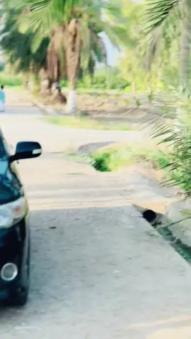 #CapCut #viral_video #views10k_aani_like_only_495 #پشتون_تاجیک_هزاره_ازبک_زنده_باد🇦🇫 
