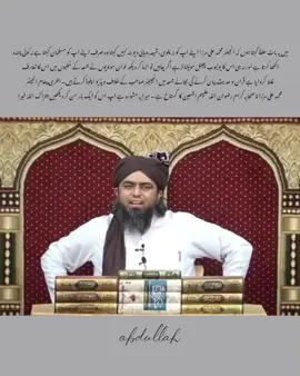 علی علیہ السلام تمہارے شجاعت پہ جھومتے ہوں گے 🥹✨❤️ #foryoupage #foryou #fyp #viral #engineermuhammadalimirza 