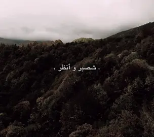 شصبر وانظر 😔💔 #باسم_الكربلائي #توثيق_حسابي #قصائد_حسينيه #تصميم_فيديوهات🎶🎤🎬 