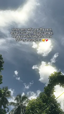 চোখের কোনে পানি, বুকে তীব্র যন্ত্রনা, মনে শত শত আশা, অনুভুতি আক্ষেপ, সবকিছু চাপা দিয়ে কিছু জিনিস মেনে নিতে হয় বাধ্যতামূলক।❤️‍🩹 #maijunlija #tiktok #bdtiktokofficial🇧🇩 #fryou #foryoupage❤️❤️ 