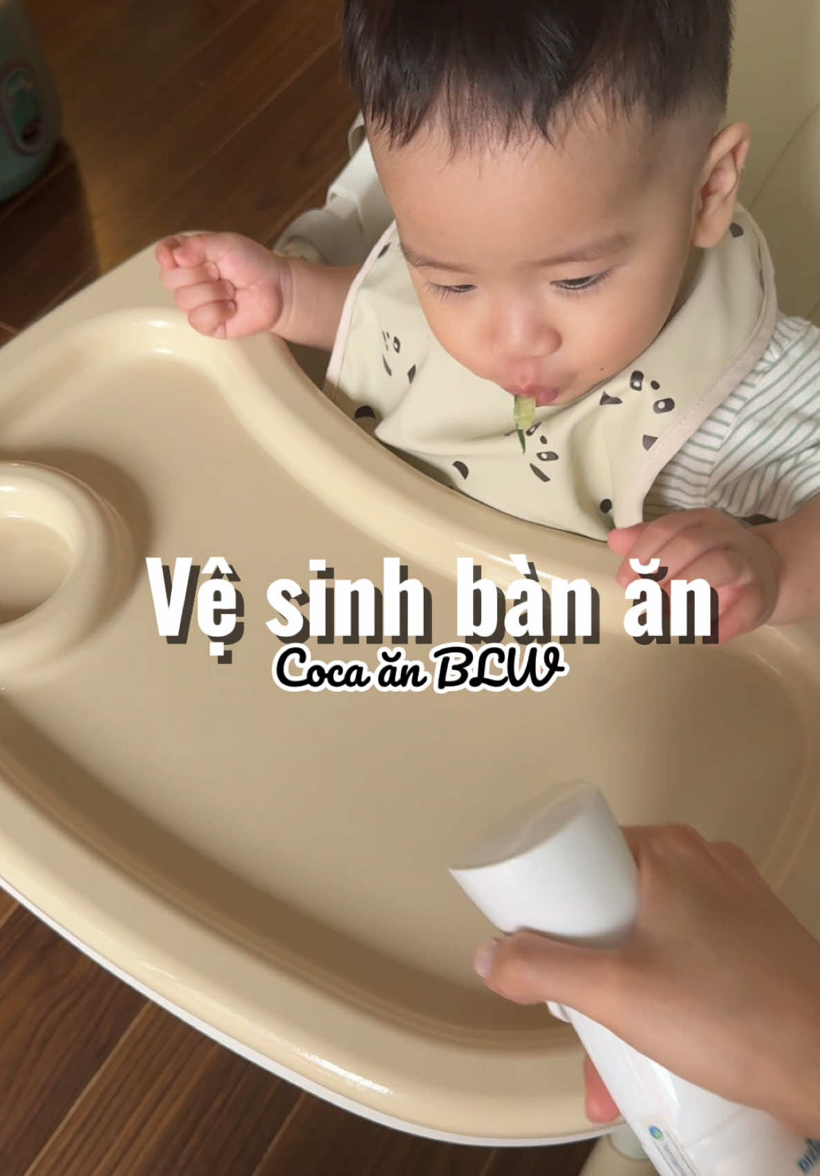 Chuyển kênh sang BLW thui😆 ăn như này mẹ dọn mệt nghỉ, thôi miễn con ăn, mẹ xịt khuẩn sạch sẽ từ trên xuống dưới luôn 😚😚  #mommycoca #andamcungbe #xitkhuandizigone #xitkhukhuandizigone 