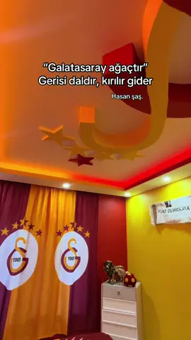 #galatasaray #fuatdemirkaya #hasanşaş 